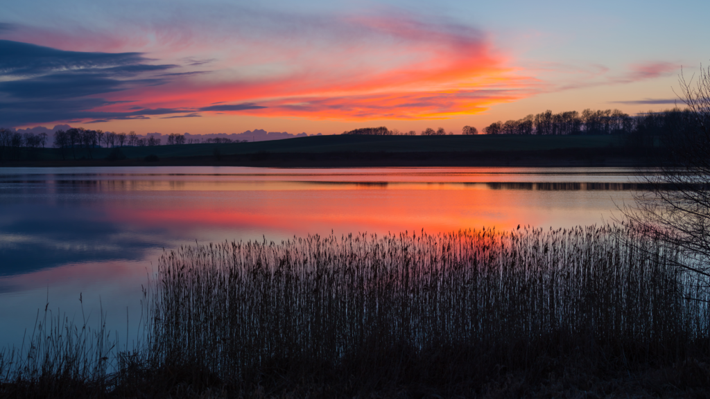 Sunset lake with reeds in foreground